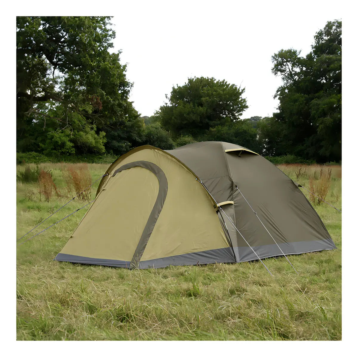 Carpa Darwin 4 Personas Coleman®